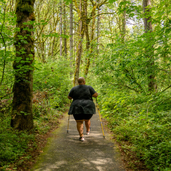 Entering the forest